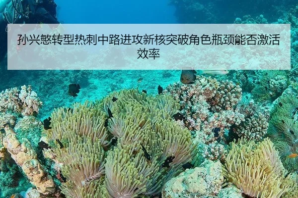 sun-xing-min-zhuan-xing-re-ci-zhong-lu-jin-gong-xin-he-tu-po-jue-se-ping-jing-neng-fou-ji-huo-xiao-lv-2-849.jpg